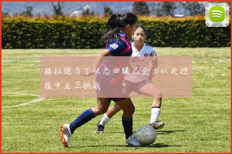 赫拉德马丁状态回暖已全力以赴迎接中后卫挑战