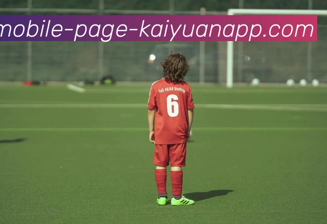 开元体育平台生态图